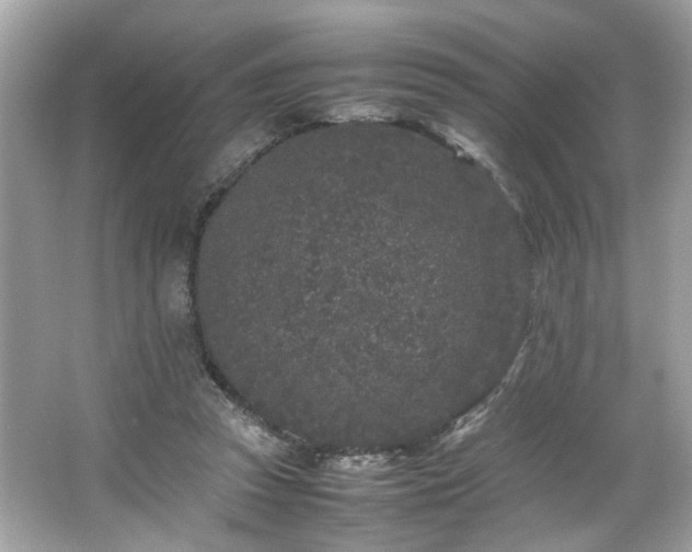 X0000066940353200603271143