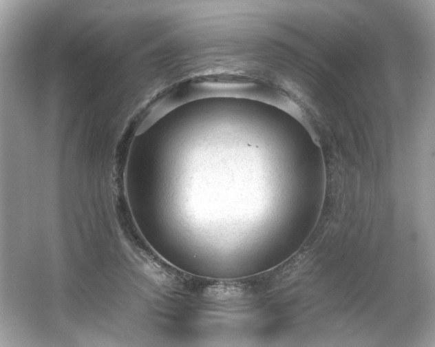 X0000066940354200603271143