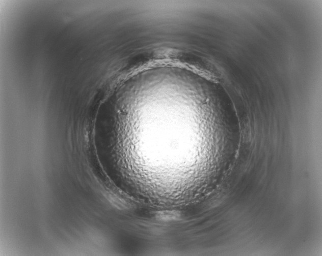 X0000066940363200603271143