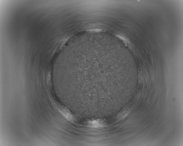 X0000066940365200603271143