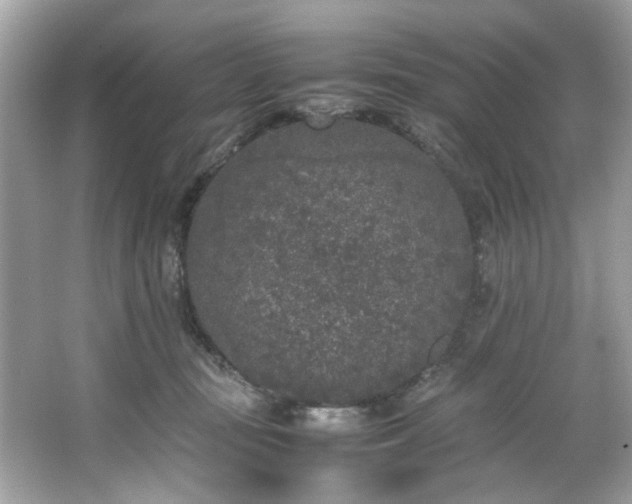 X0000066940371200603271143