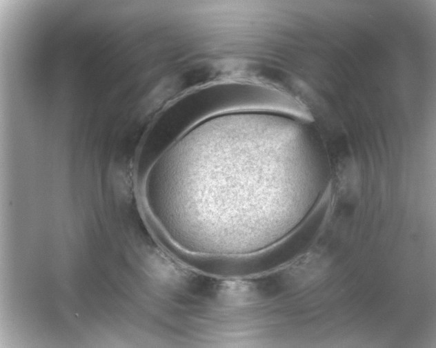 X0000066940376200603271143