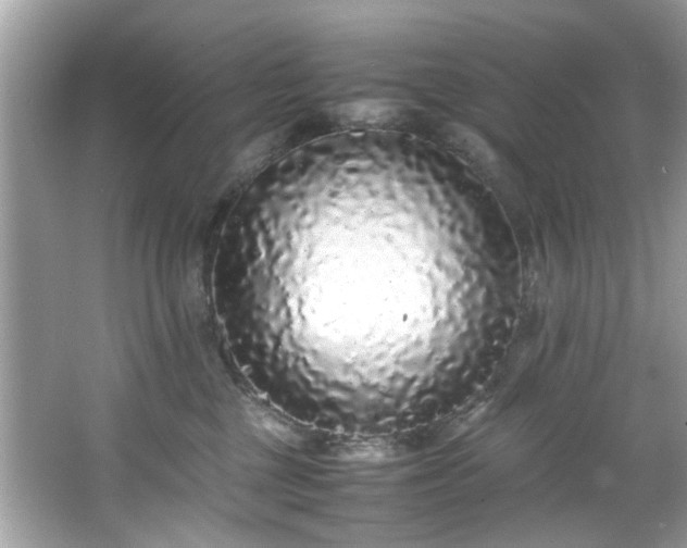 X0000066940377200603271143