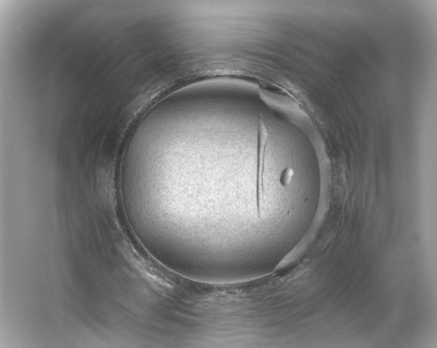 X0000066940386200603271142