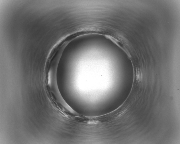 X0000066940388200603271142