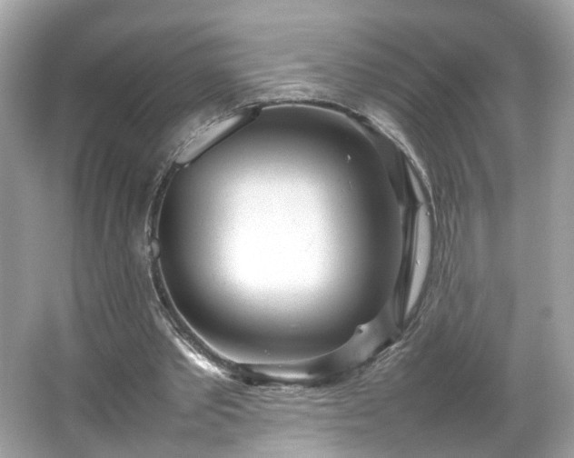 X0000066940389200603271142