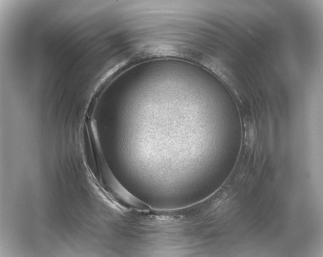 X0000066940390200603271142