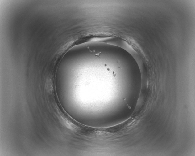 X0000066940393200603271142