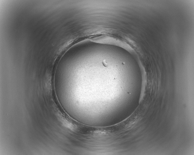 X0000066940394200603271142