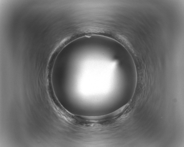 X0000066940395200603271142