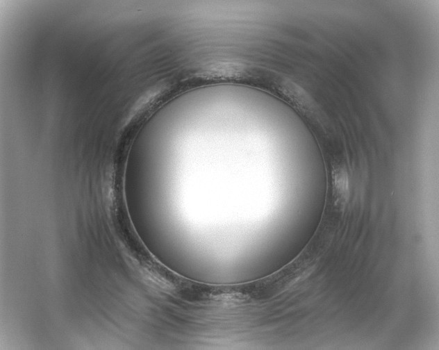 X0000066940396200603271142