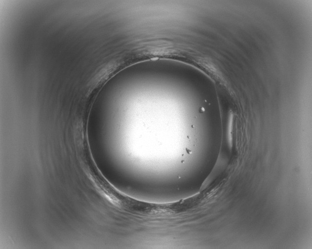 X0000066940397200603271142