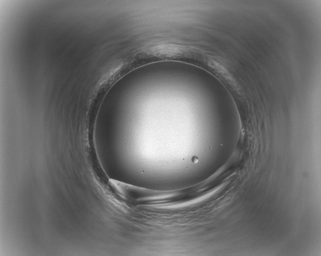 X0000066940399200603271142