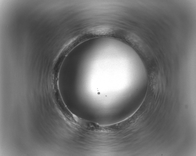 X0000066940400200603271142