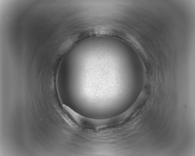 X0000066940401200603271142