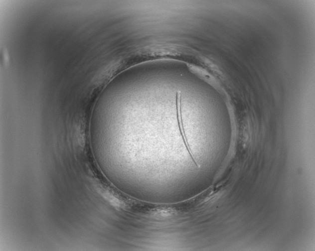 X0000066940402200603271142