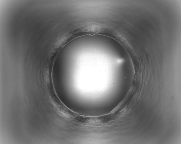 X0000066940403200603271142