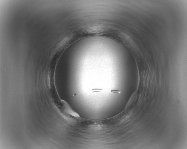 X0000066940404200603271142