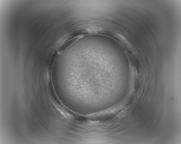 X0000066940405200603271142