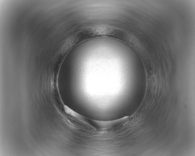 X0000066940406200603271142