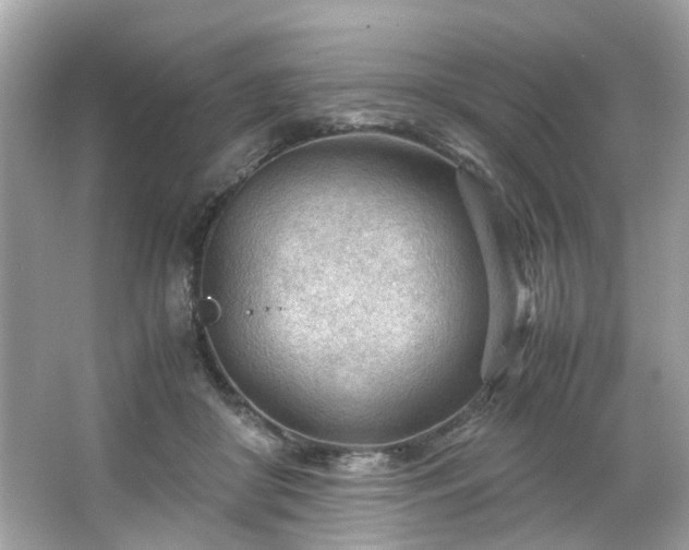 X0000066940410200603271142