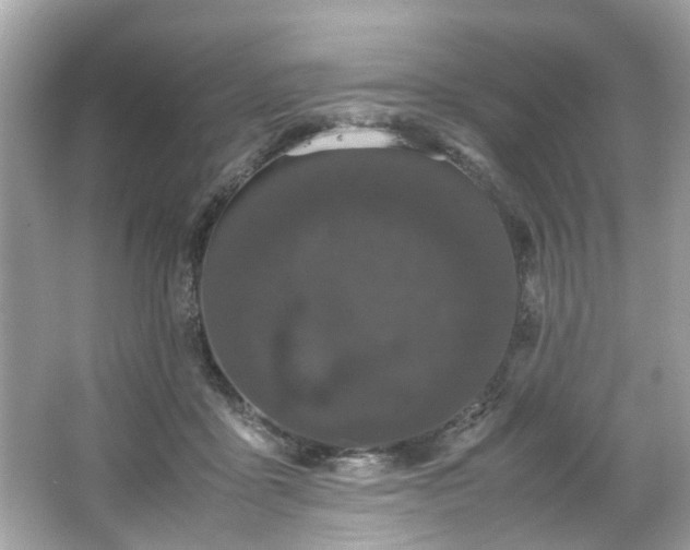 X0000066940411200603271142