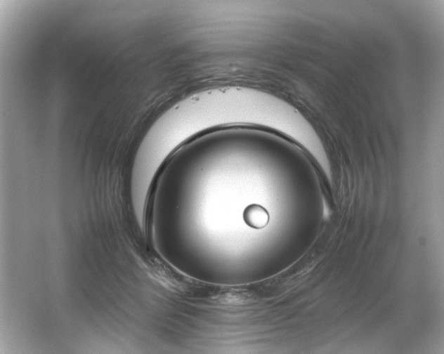 X0000066940412200603271142