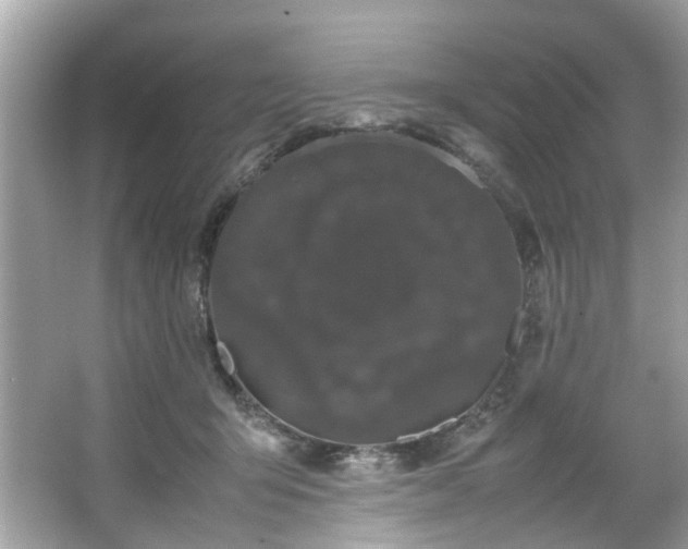 X0000066940415200603271142