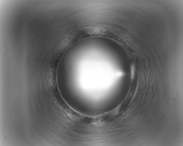 X0000066940416200603271142