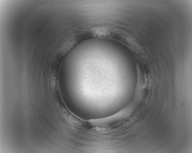 X0000066940417200603271142