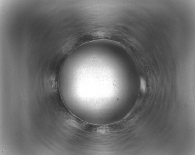 X0000066940420200603271142