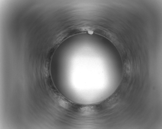 X0000066940422200603271142