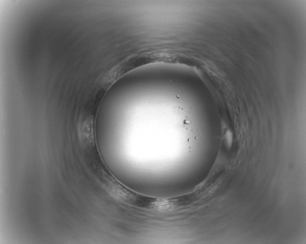 X0000066940425200603271142