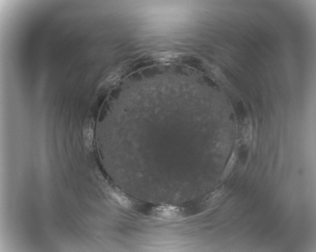 X0000066940427200603271142