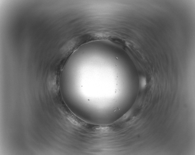 X0000066940428200603271142