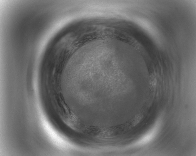 X0000066940431200603271142