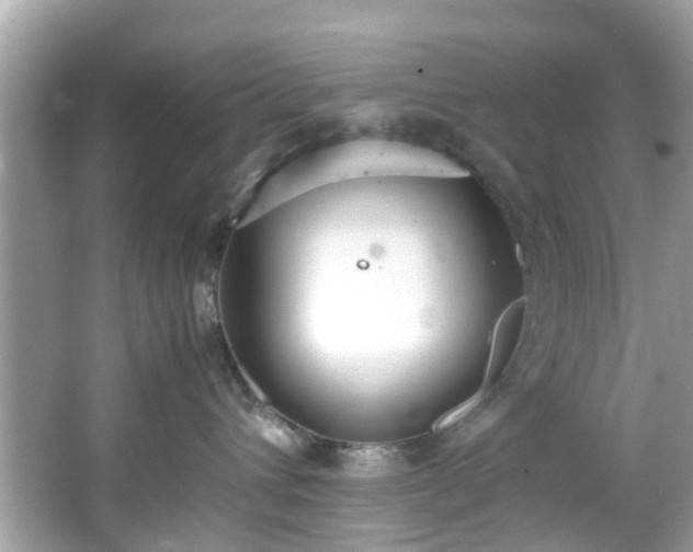 X0000066940432200603271142