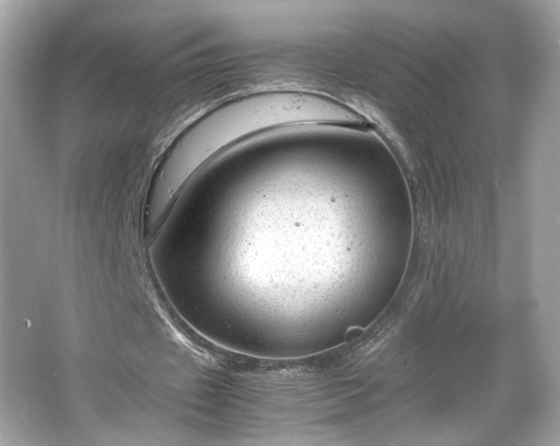 X0000066940433200603271141