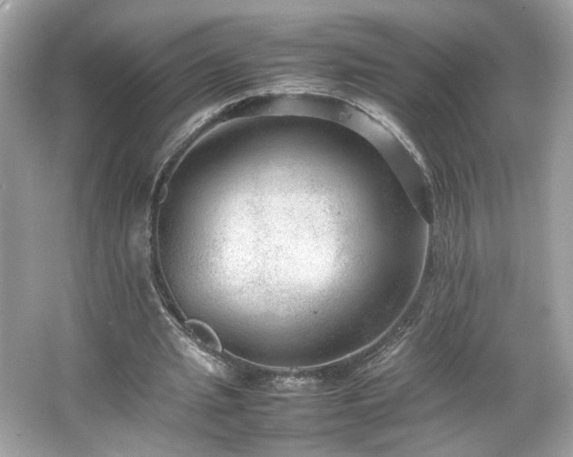 X0000066940437200603271141