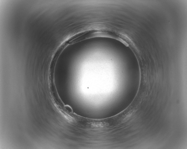 X0000066940439200603271141