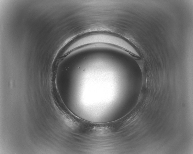 X0000066940440200603271141