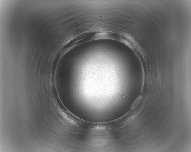 X0000066940441200603271141