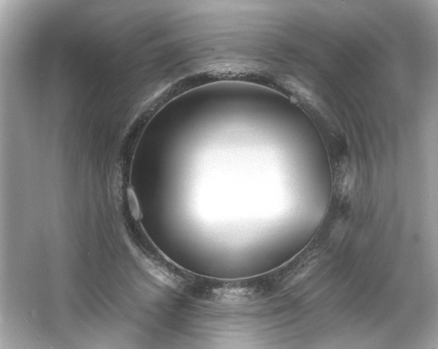 X0000066940448200603271141