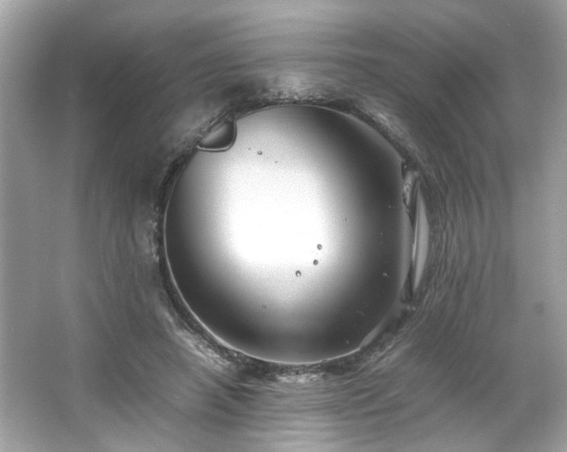 X0000066940450200603271141