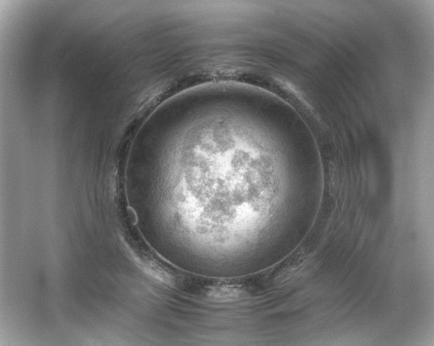 X0000066940451200603271141