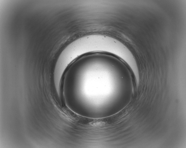 X0000066940452200603271141