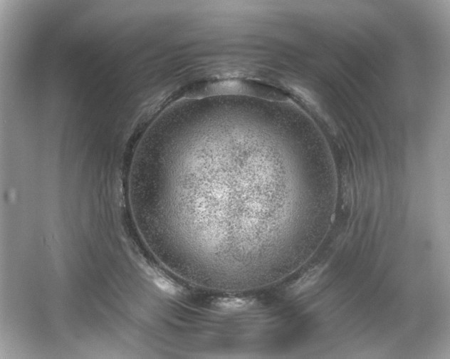 X0000066940453200603271141