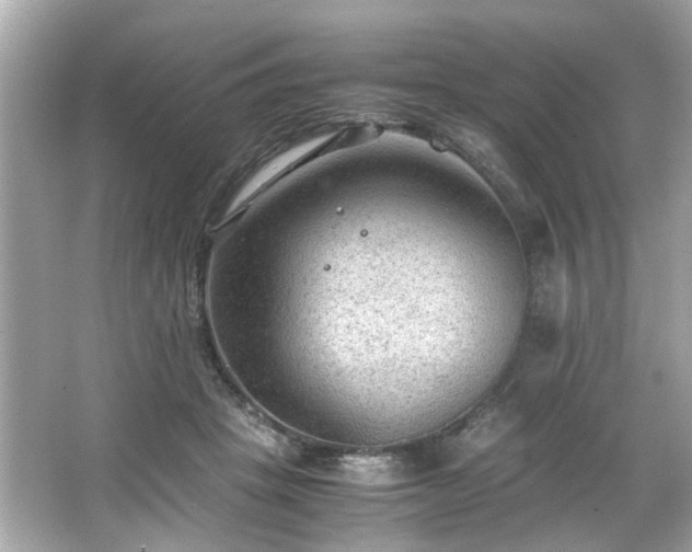 X0000066940457200603271141