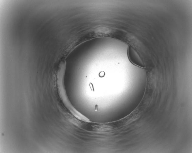 X0000066940463200603271141