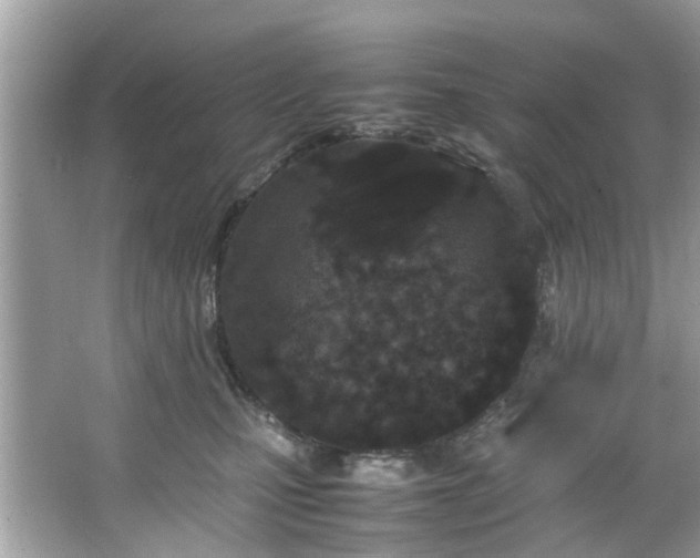 X0000066940471200603271141